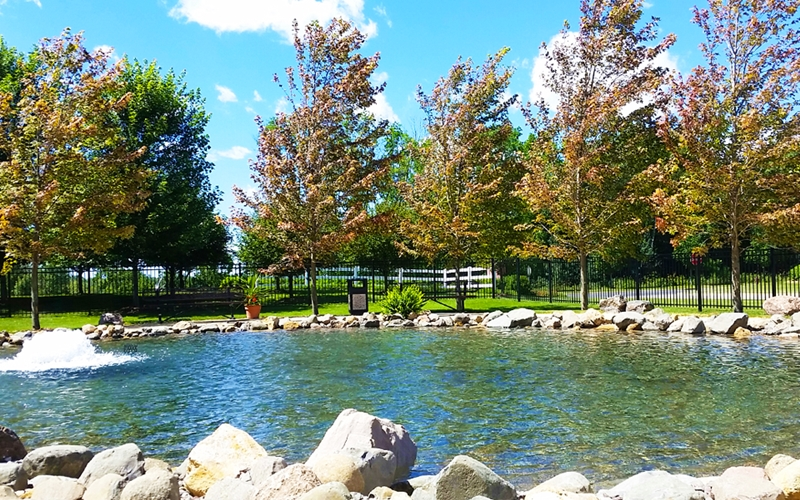 TROUT AIR FISHING EXPERIENCE