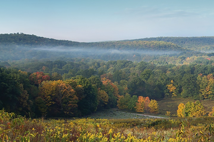 Land Conservation 