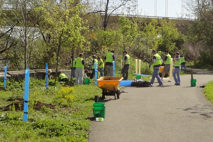 Community Forestry 