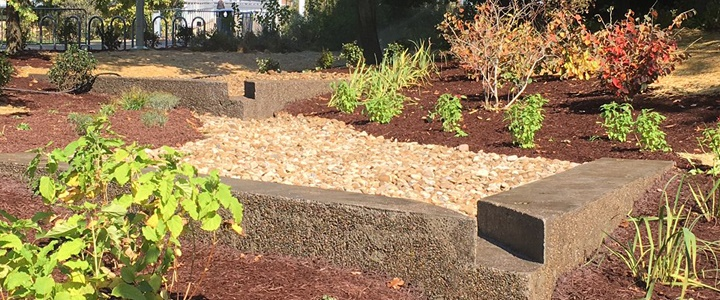 Natural Stormwater Solutions