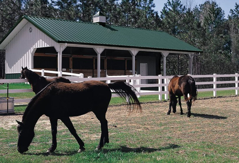 Equestrian Barns and Buildingsc