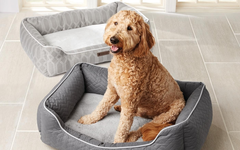Pet Supplies