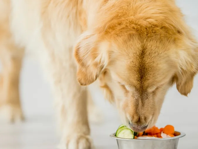 Nutrition