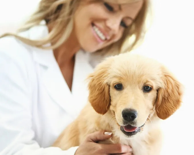  Vaccinations