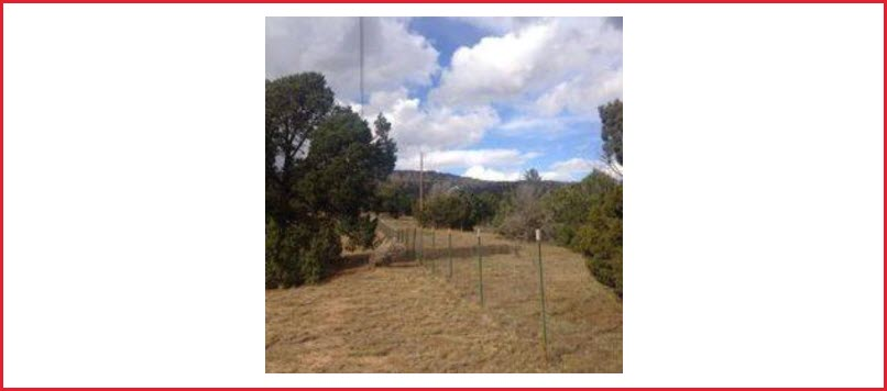 Land Sales