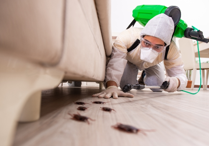 Cockroach Extermination