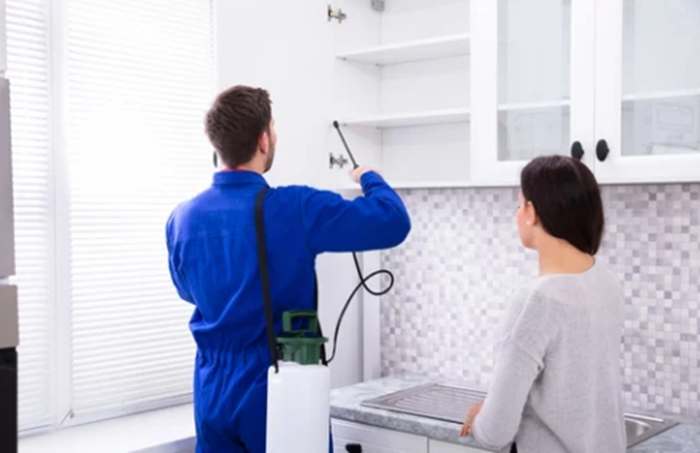 Pest Inspection