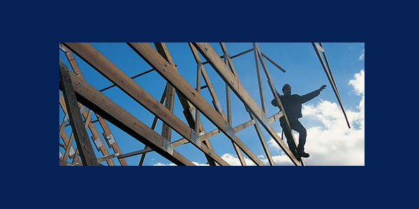 Development Services