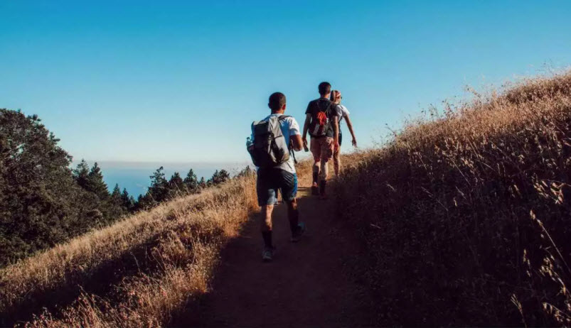 6 Week Walking Plan