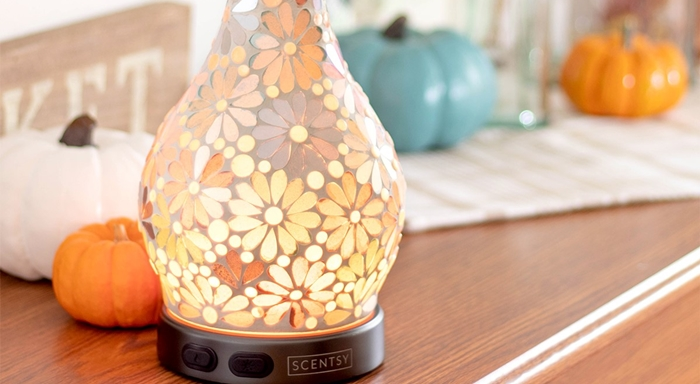 Diffusers and Oils