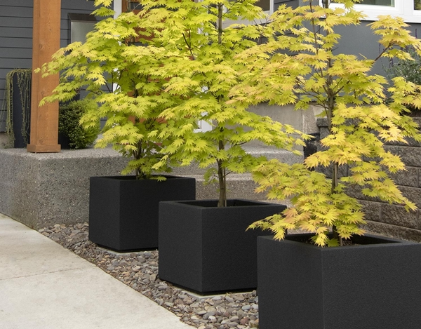 Trees