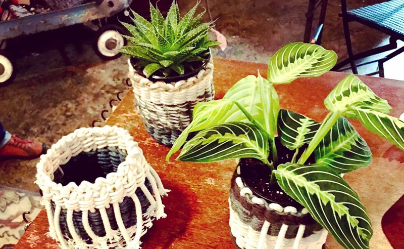 PLANT DESIGN