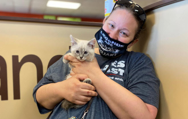 Available Kittens
