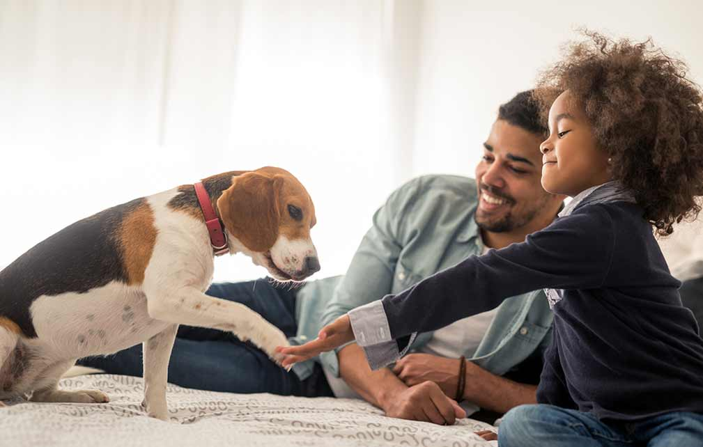 Tenant Resources