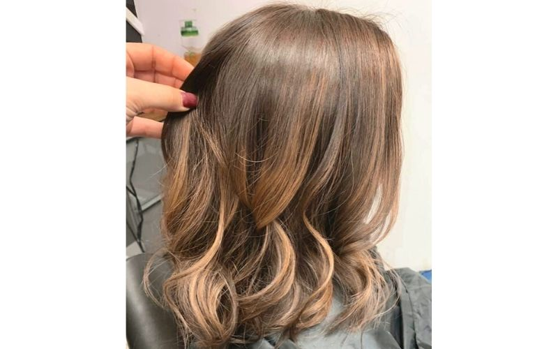 Cut and Color Services
