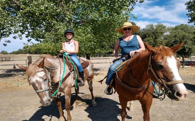 Trail Rides - Introduction to Horses