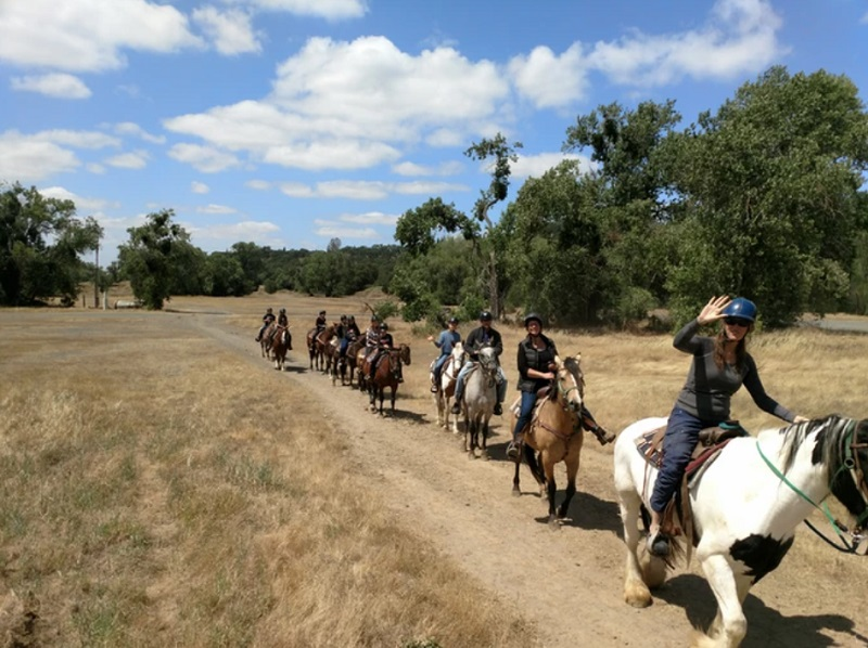 Trail Rides - The Works
