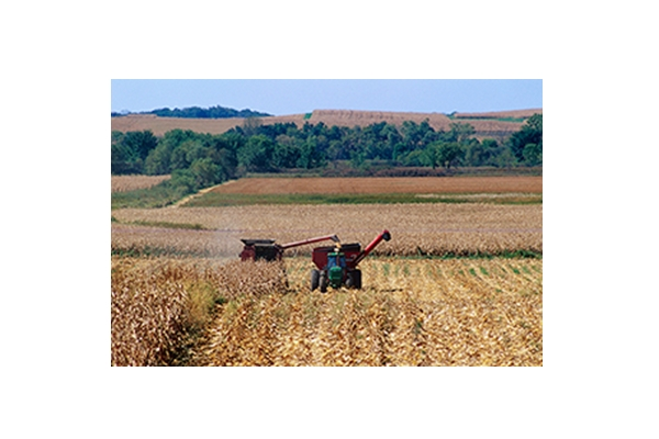 REAL ESTATE, PROPERTY, AND LAND RIGHTS
