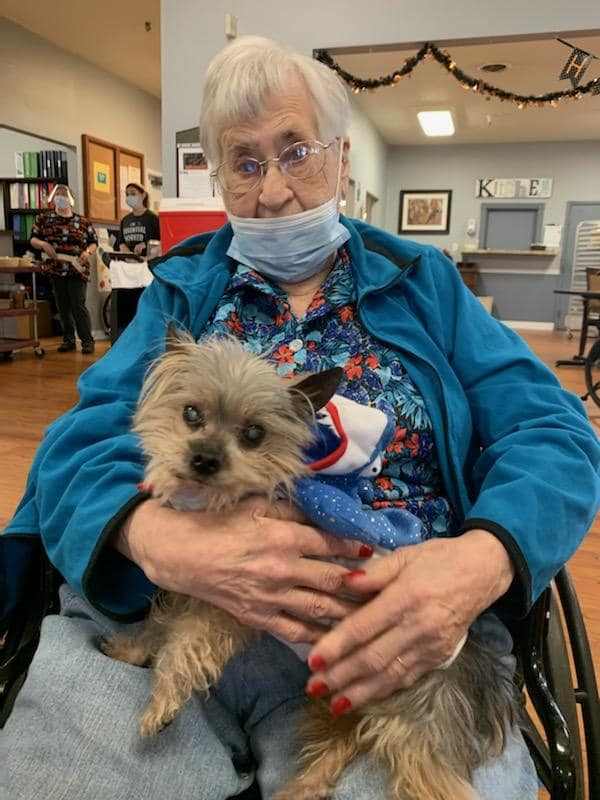 Pet-friendly