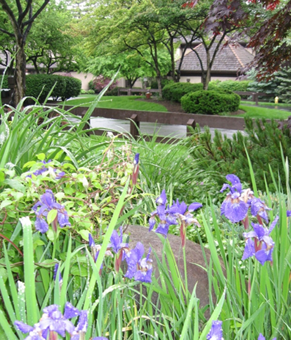 SPRING CARE
