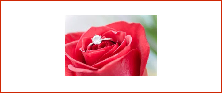 Proposal Packages