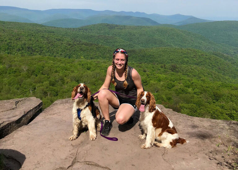 Pet Wellness Services