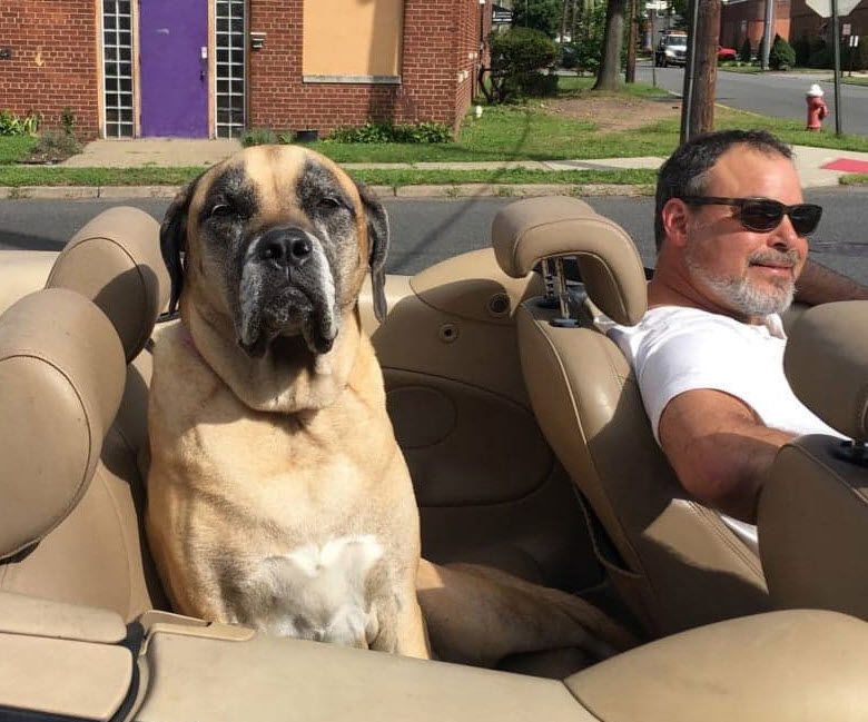 Senior Pet Care