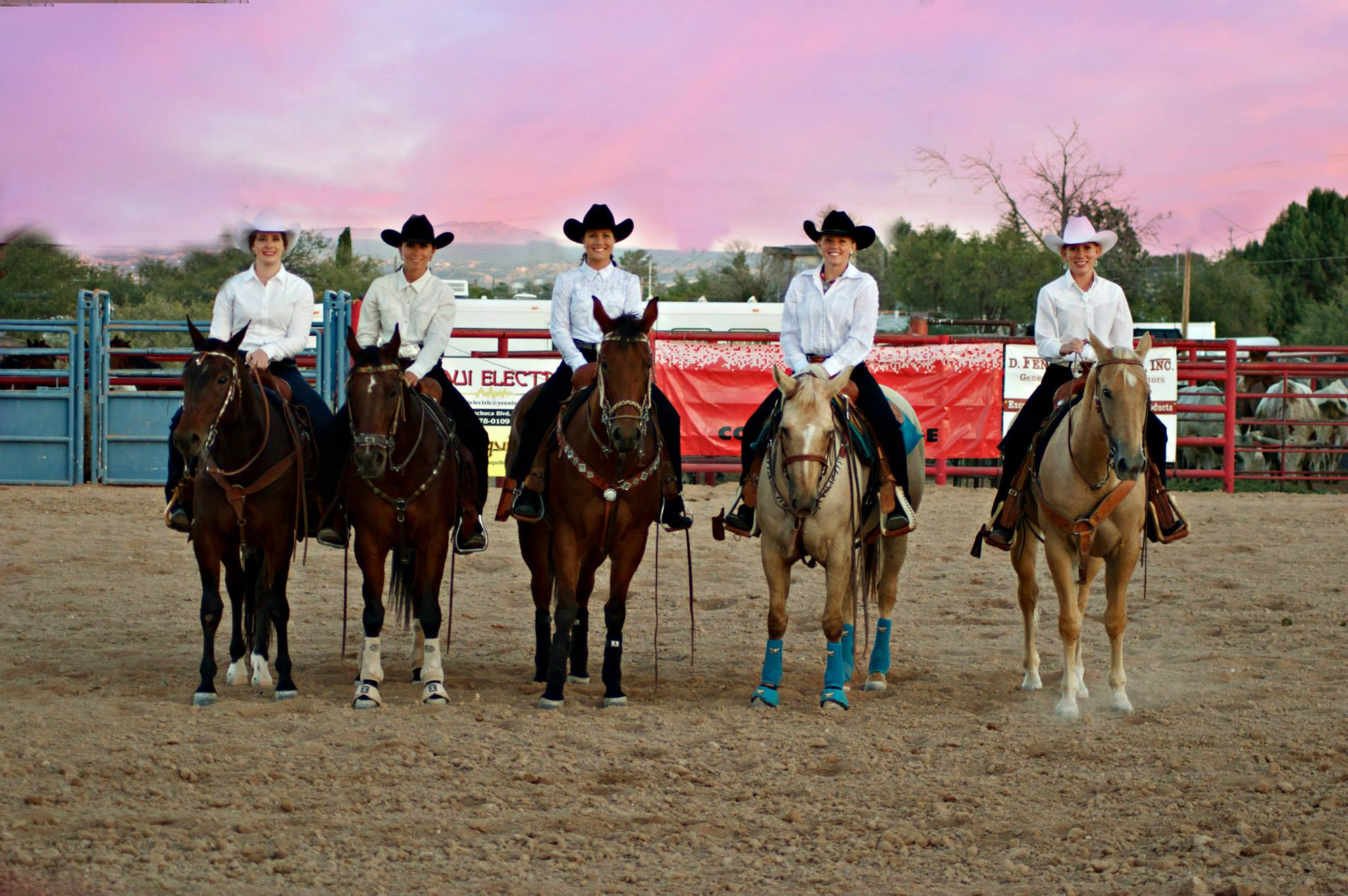 Queen's Horsemanship Competition