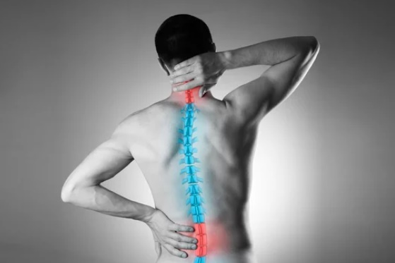 Spine Care 