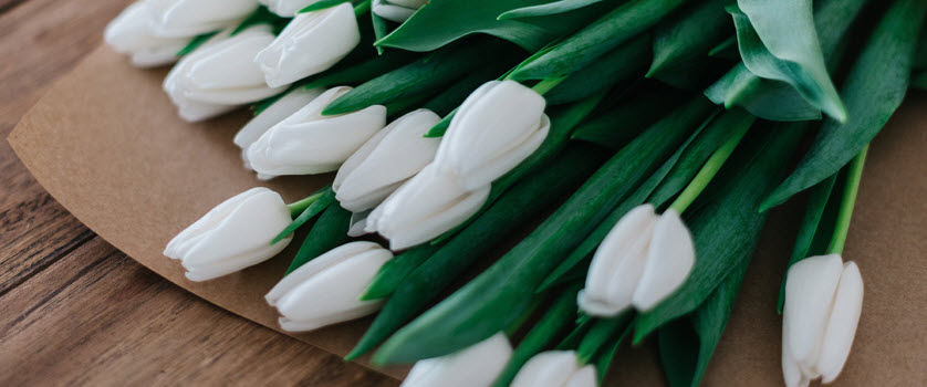 Send Flowers