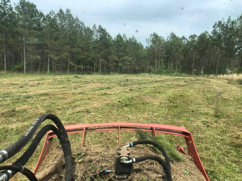  Mowing 