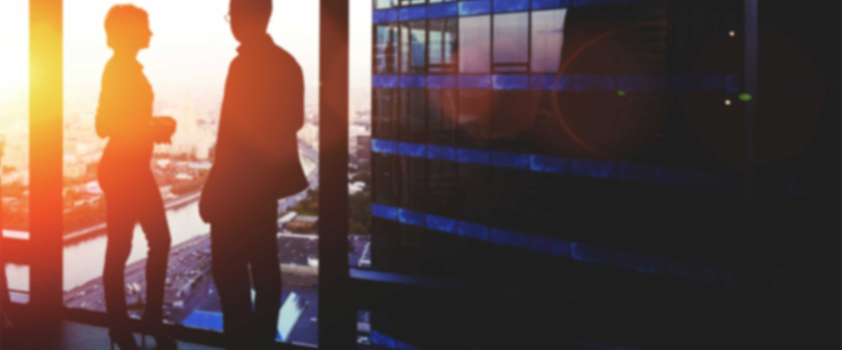 Emerging Industries & Organizations