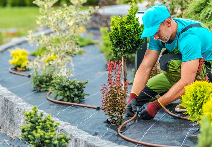 Commercial Maintenance