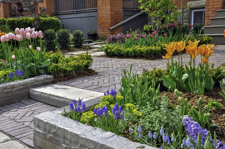 Landscape Design
