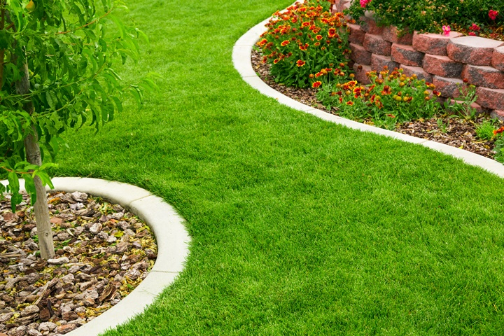 Landscape Enhancements 