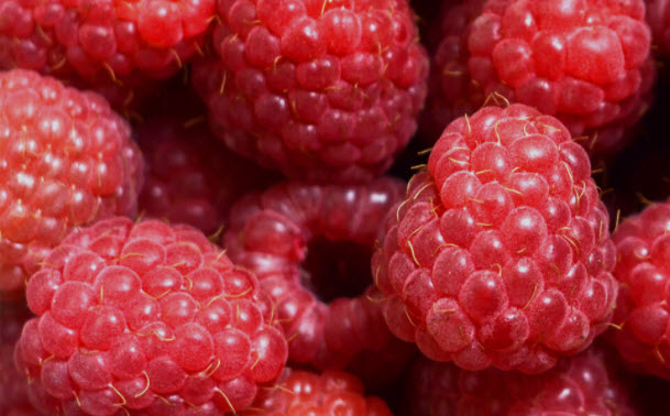 Raspberries