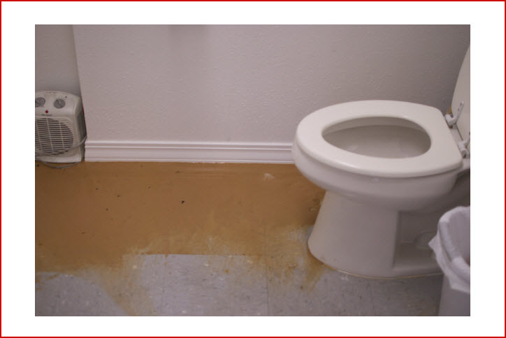 Sewage Damge