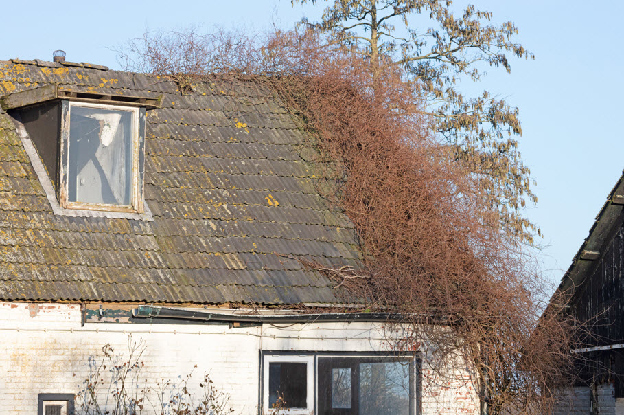 DEFERRED MAINTENANCE DEVELOPMENT