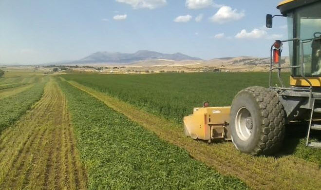 Farm For Sale