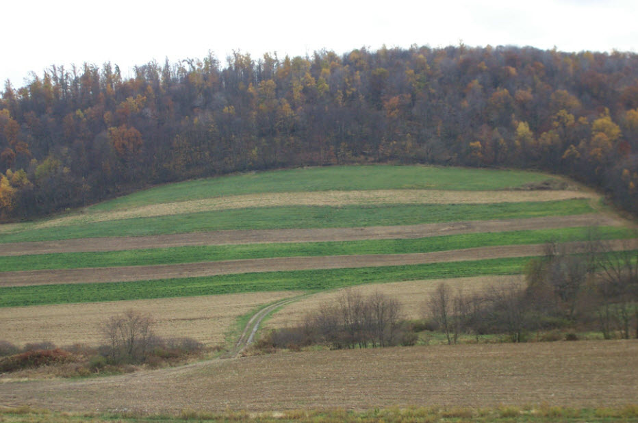 Farmland Preservation