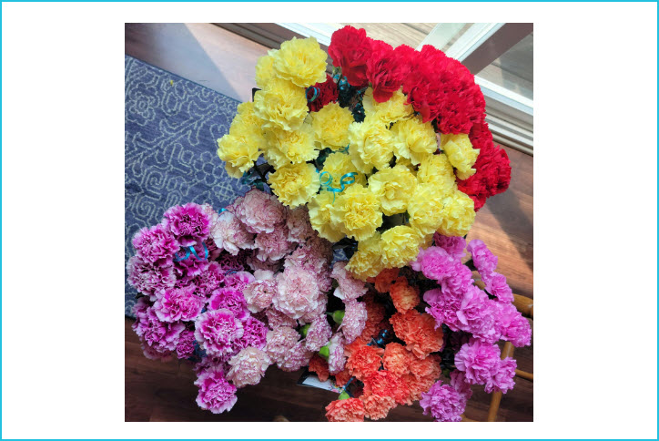 Fresh Flower