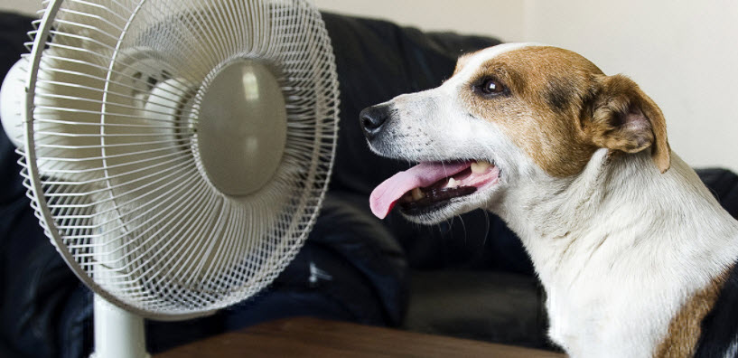 Save Energy