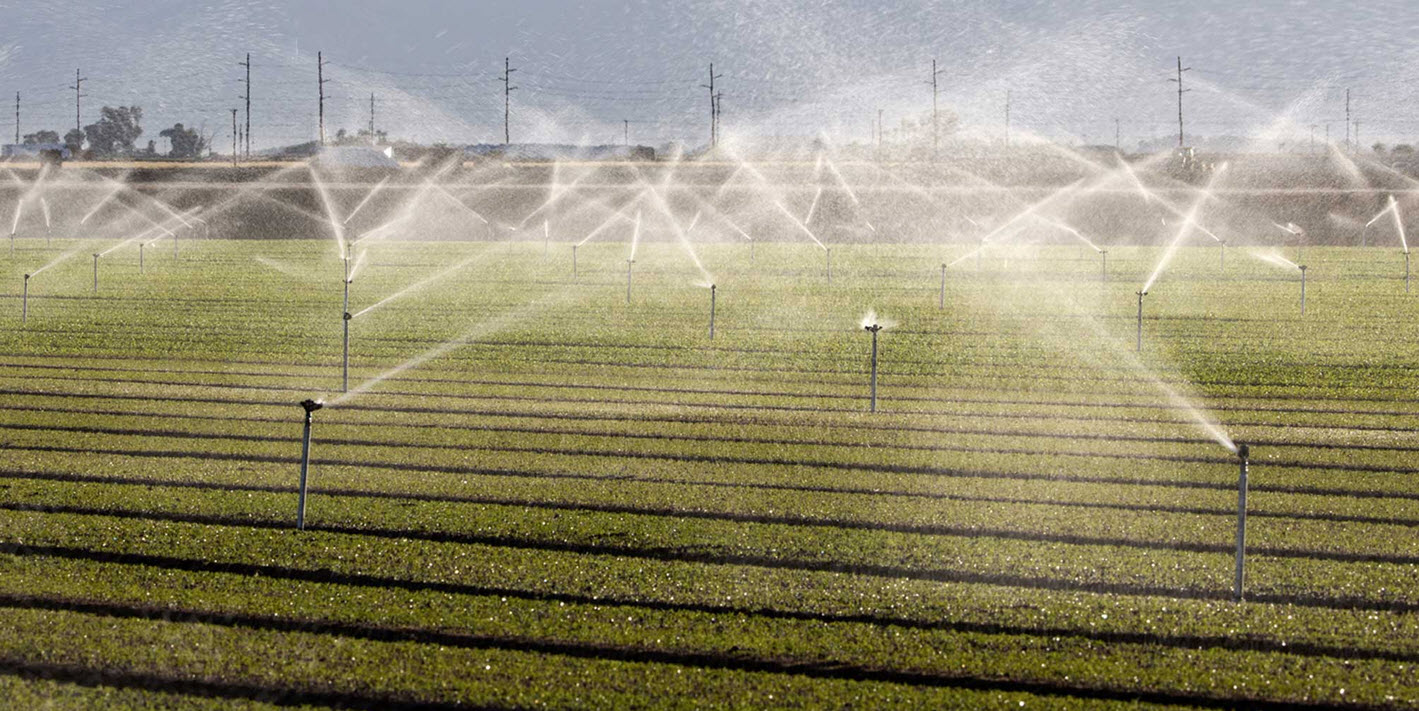 Agribusiness