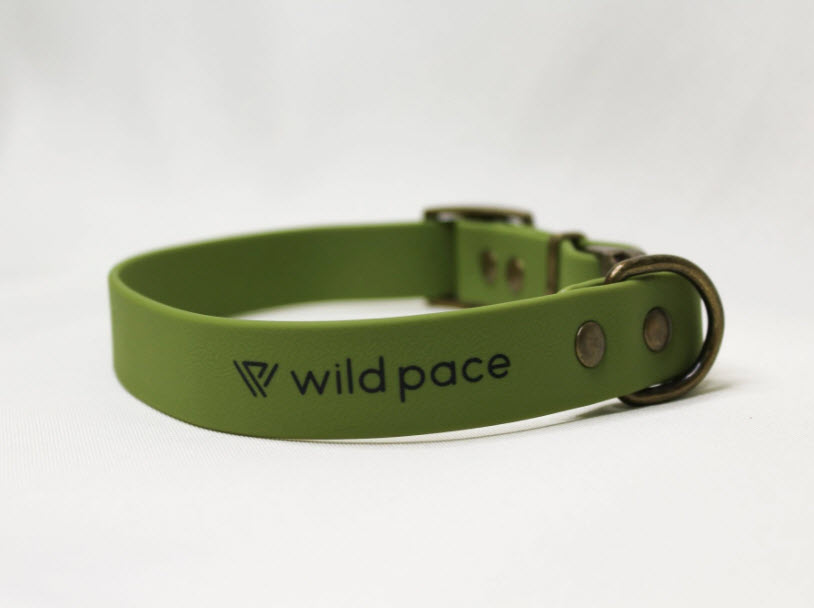 Venturehound Waterproof Collar