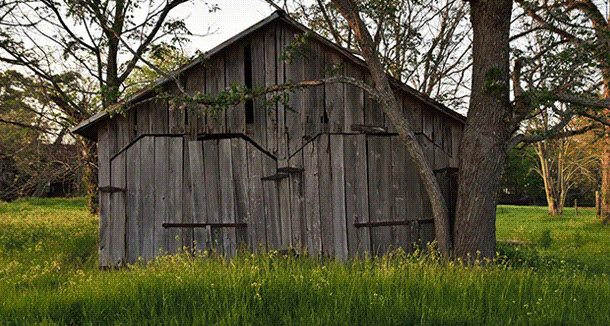 Recreational Property