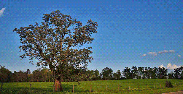 Land Sales