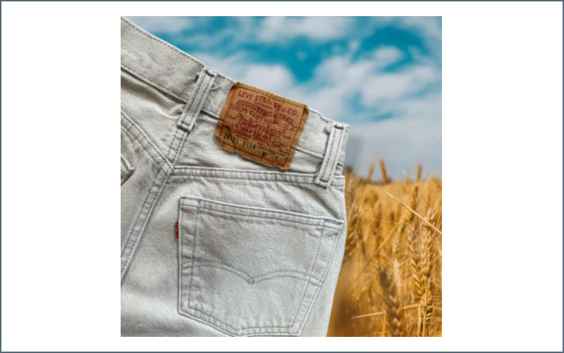 1970s Button Fly Levis  Rare!