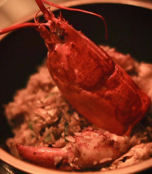 Lobster Fried Rice