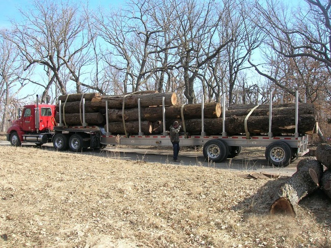 Midwest Camp Foundation