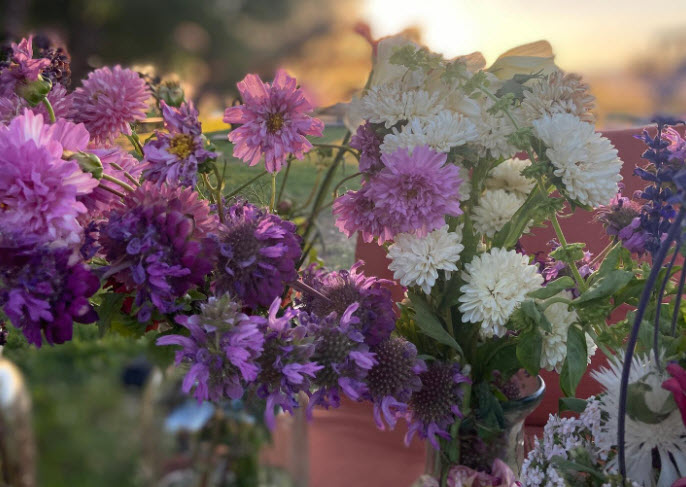 Flower CSA